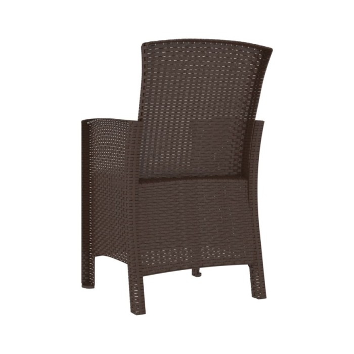 Chaise de jardin avec coussin Rotin PP Marron