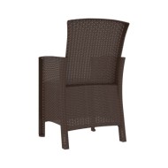 Chaise de jardin avec coussin Rotin PP Marron