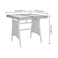 Table de jardin Gris 70x70x72 cm Résine tressée et acacia