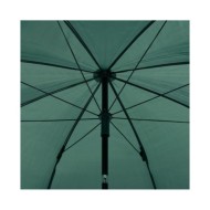 Parapluie de pêche Vert 220x193 cm