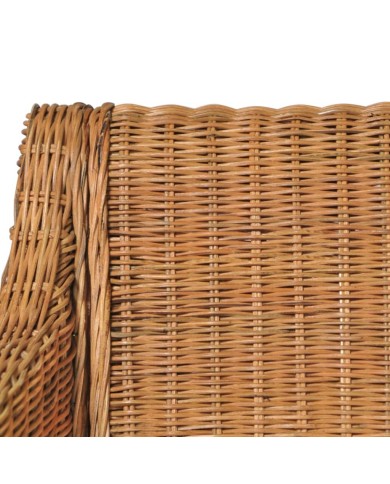 Chaises à dîner avec coussins 2 pcs Marron Clair Rotin naturel
