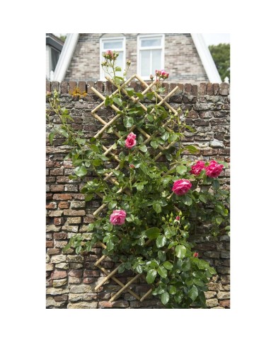 Nature Palissade de jardin 100 x 200 cm bambou