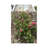 Nature Palissade de jardin 100 x 200 cm bambou