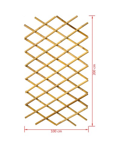 Nature Palissade de jardin 100 x 200 cm bambou