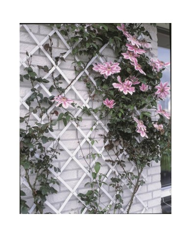 Nature Palissade de jardin 100 x 200 cm PVC Blanc