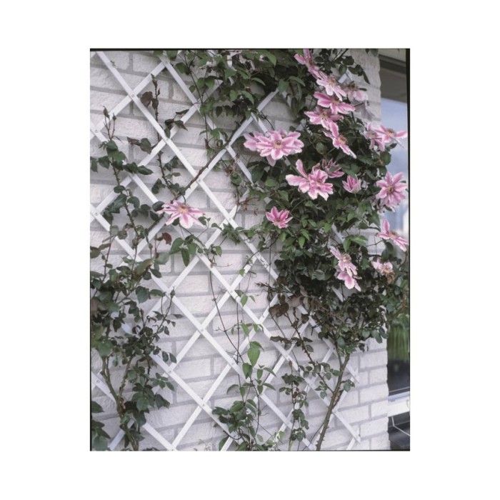 Nature Palissade de jardin 100 x 200 cm PVC Blanc