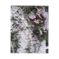 Nature Palissade de jardin 100 x 200 cm PVC Blanc