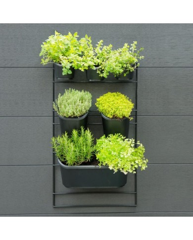 Nature Kit mural de jardin vertical