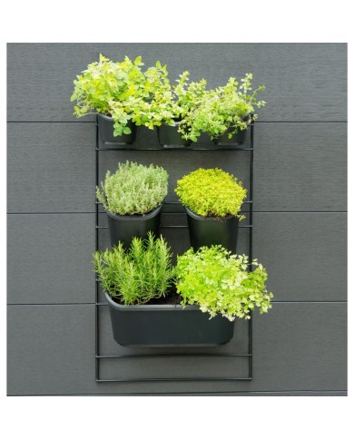 Nature Kit mural de jardin vertical