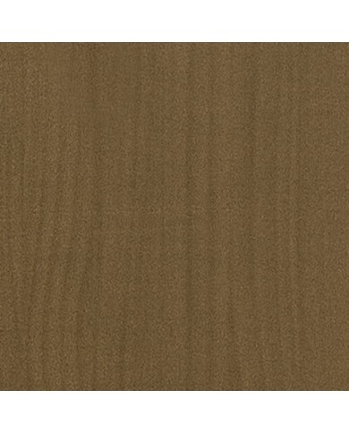 Jardinières 2 pcs Marron miel 60x60x60 cm Bois de pin massif
