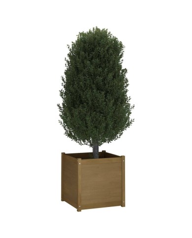 Jardinières 2 pcs Marron miel 60x60x60 cm Bois de pin massif