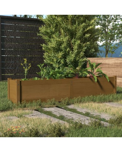 Lit surélevé de jardin Marron miel 150x31x31 cm Bois de sapin