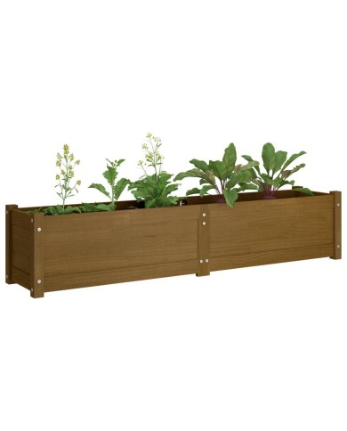 Lit surélevé de jardin Marron miel 150x31x31 cm Bois de sapin