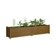 Lit surélevé de jardin Marron miel 150x31x31 cm Bois de sapin