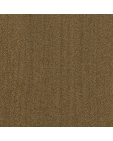 Jardinière d'extérieur Marron miel 50x50x70 cm Pin massif