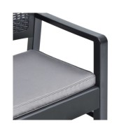 Salon de jardin 4 pcs avec coussins Plastique Anthracite