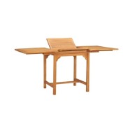 Salon de jardin 5 pcs Bois de teck massif