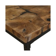 Table basse Teck Résine 110 x 60 x 40 cm