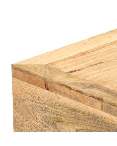 Table basse Style cassette 100x52x45 cm Bois de manguier massif