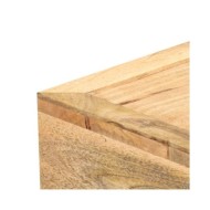 Table basse Style cassette 100x52x45 cm Bois de manguier massif