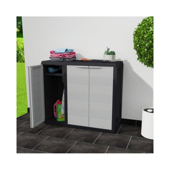 Armoire de rangement de jardin avec 2 étagères Noir et gris