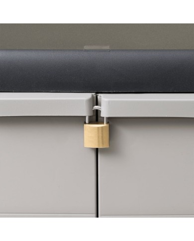 Armoire de rangement de jardin avec 2 étagères Noir et gris