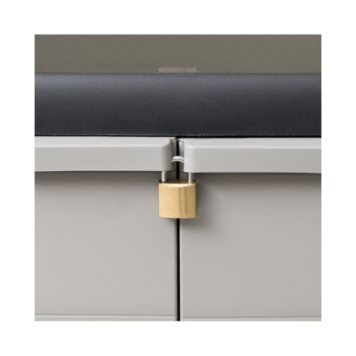 Armoire de rangement de jardin avec 2 étagères Noir et gris