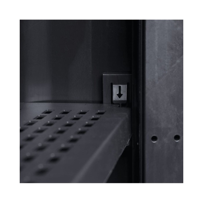 Armoire de rangement de jardin avec 2 étagères Noir et gris