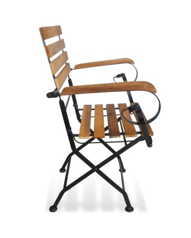 Chaises pliables de jardin 2 pcs Acier et bois d'acacia solide