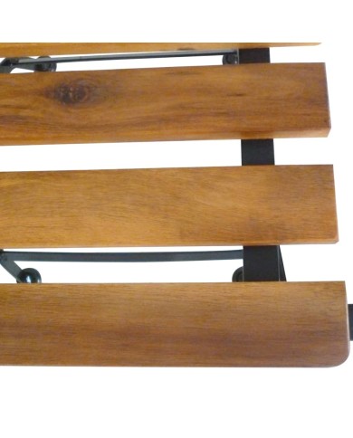 Chaises pliables de jardin 2 pcs Acier et bois d'acacia solide