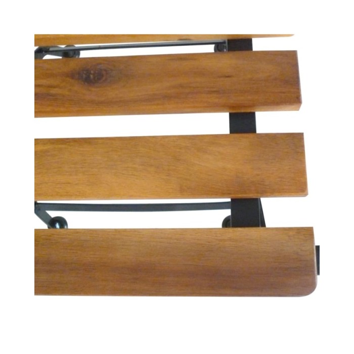 Chaises pliables de jardin 2 pcs Acier et bois d'acacia solide