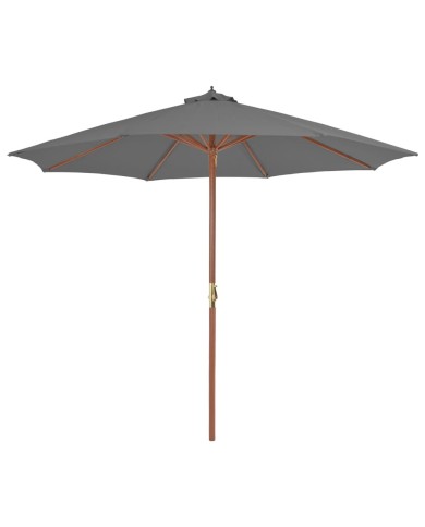 Parasol d'extérieur avec mât en bois 300 cm Anthracite