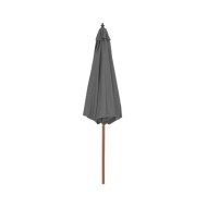 Parasol d'extérieur avec mât en bois 300 cm Anthracite
