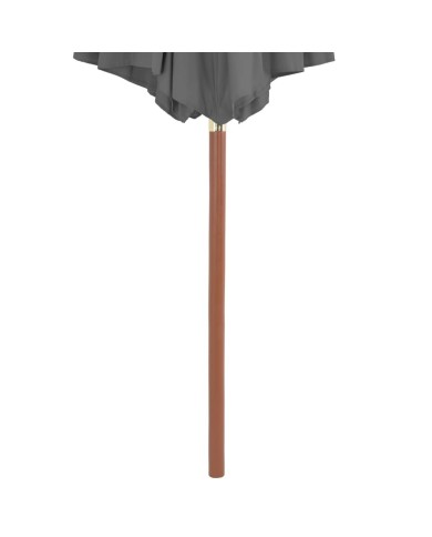 Parasol d'extérieur avec mât en bois 300 cm Anthracite
