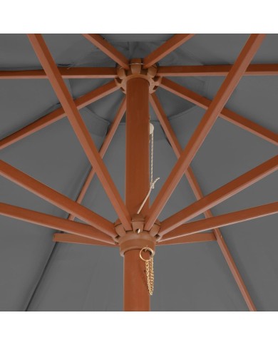 Parasol d'extérieur avec mât en bois 300 cm Anthracite