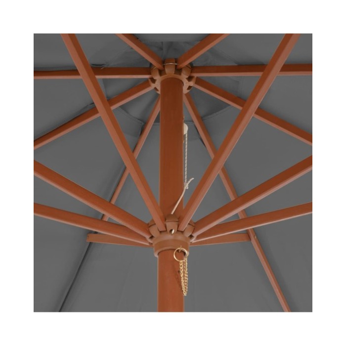 Parasol d'extérieur avec mât en bois 300 cm Anthracite