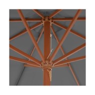 Parasol d'extérieur avec mât en bois 300 cm Anthracite