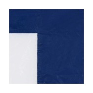 Paroi de tente de réception 2 pcs avec fenêtre PE Bleu