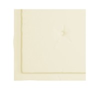 Coussins de chaise de jardin 2 pcs Crème 50x50x3 cm