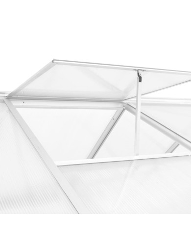 Serre Aluminium 302x190x195 cm 11,19 m³