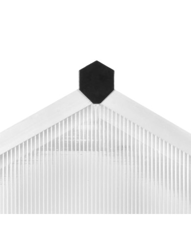 Serre Aluminium 302x190x195 cm 11,19 m³