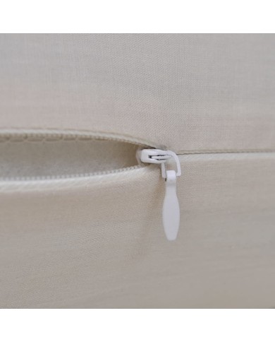 Housses de coussin 4 pcs Coton Beige 50x50 cm 