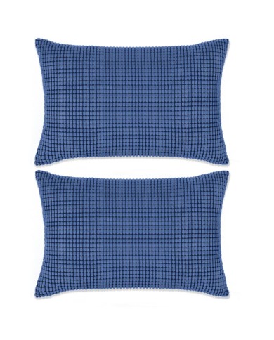 Jeu de coussin 2 pcs Velours 40 x 60 cm Bleu