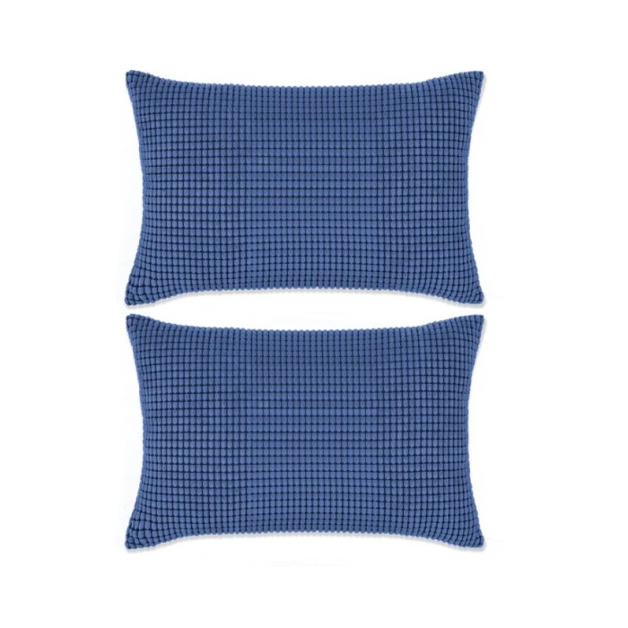 Jeu de coussin 2 pcs Velours 40 x 60 cm Bleu