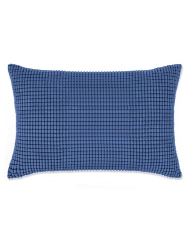 Jeu de coussin 2 pcs Velours 40 x 60 cm Bleu
