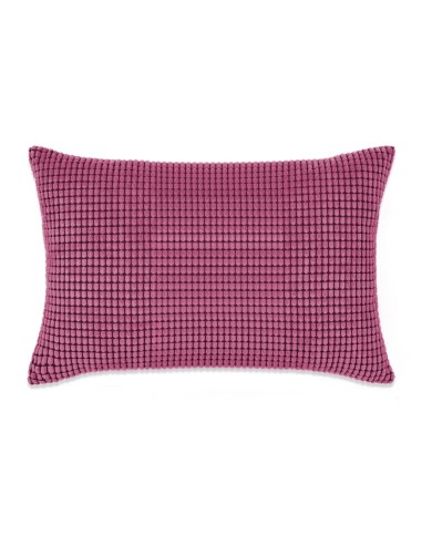 Jeu de coussin 2 pcs Velours 40 x 60 cm Rose