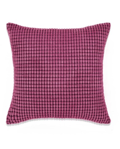 Jeu de coussin 2 pcs Velours 60 x 60 cm Rose
