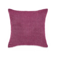 Jeu de coussin 2 pcs Velours 60 x 60 cm Rose