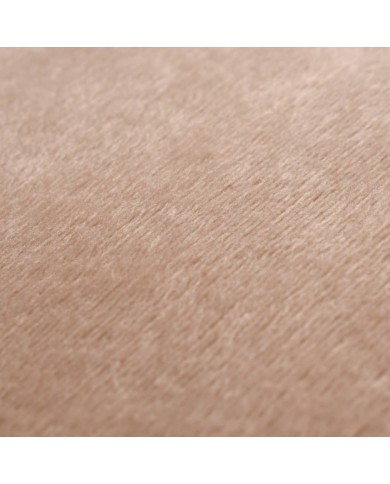 Coussins 2 pcs Tissu 45x45 cm Beige