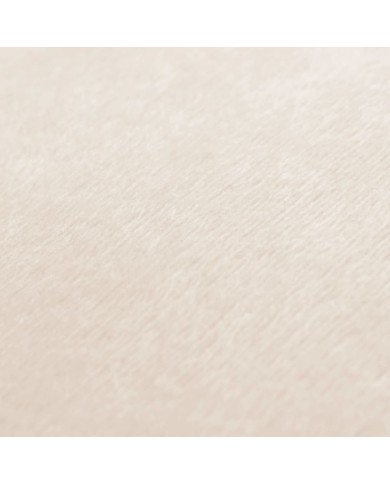 Coussins 2 pcs Tissu 45x45 cm Blanc cassé